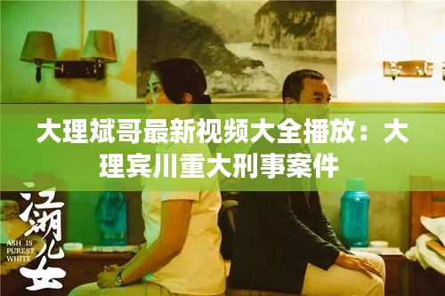 大理斌哥最新视频大全播放：大理宾川重大刑事案件 