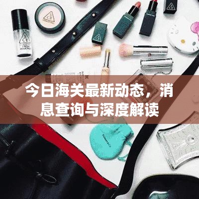 今日海关最新动态，消息查询与深度解读