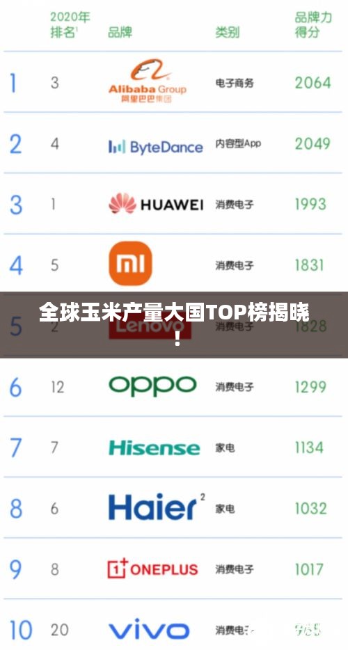 全球玉米产量大国TOP榜揭晓！