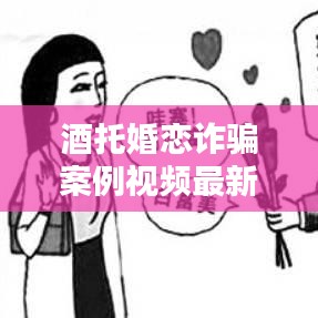 酒托婚恋诈骗案例视频最新：酒托诈骗案卿 