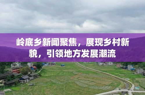 岭底乡新闻聚焦，展现乡村新貌，引领地方发展潮流