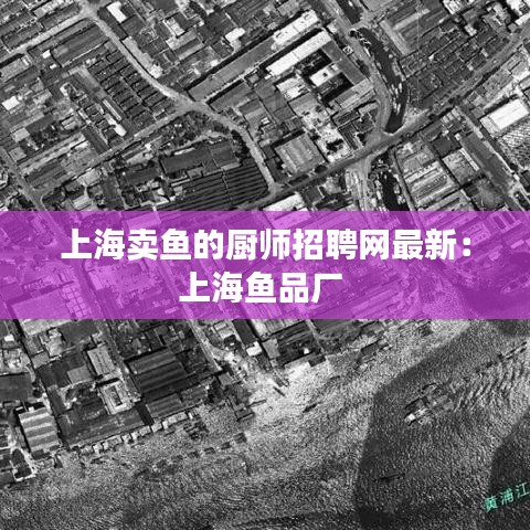 上海卖鱼的厨师招聘网最新：上海鱼品厂 
