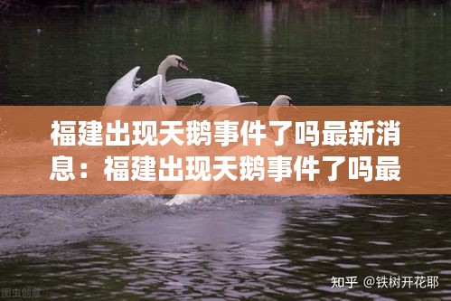 福建出现天鹅事件了吗最新消息：福建出现天鹅事件了吗最新消息视频 
