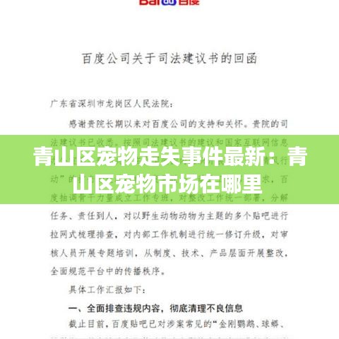 青山区宠物走失事件最新：青山区宠物市场在哪里 