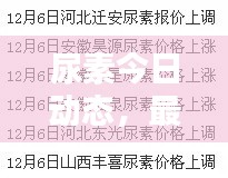尿素今日动态，最新消息汇总