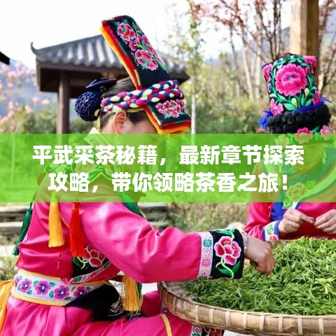 平武采茶秘籍，最新章节探索攻略，带你领略茶香之旅！