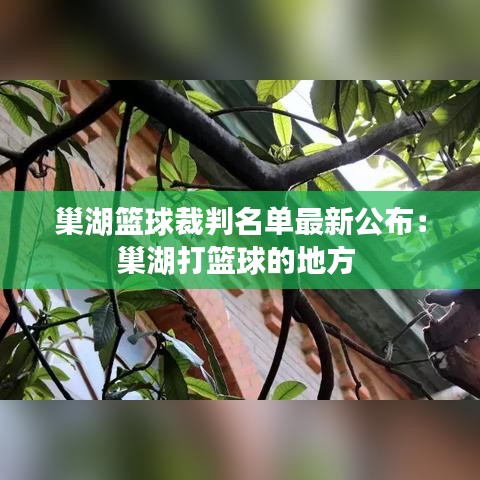 巢湖篮球裁判名单最新公布：巢湖打篮球的地方 