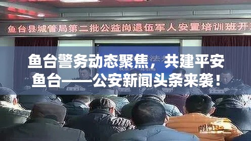 鱼台警务动态聚焦，共建平安鱼台——公安新闻头条来袭！
