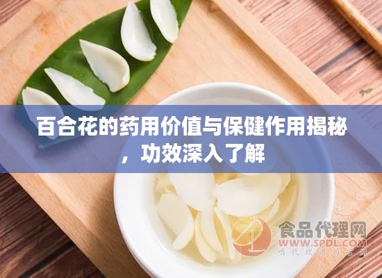 百合花的药用价值与保健作用揭秘，功效深入了解