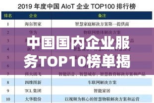 中国国内企业服务TOP10榜单揭晓！