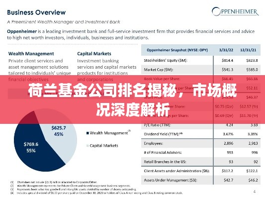 荷兰基金公司排名揭秘，市场概况深度解析