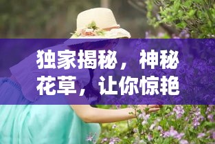 独家揭秘，神秘花草，让你惊艳不已！