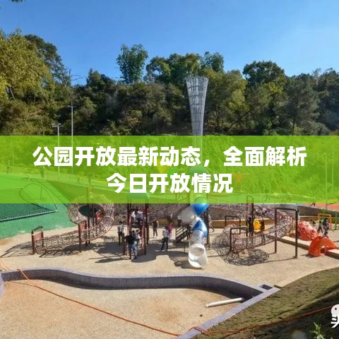 公园开放最新动态，全面解析今日开放情况