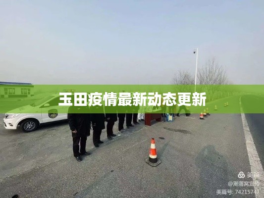 阳春白雪 第2页