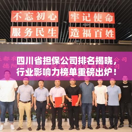 四川省担保公司排名揭晓，行业影响力榜单重磅出炉！