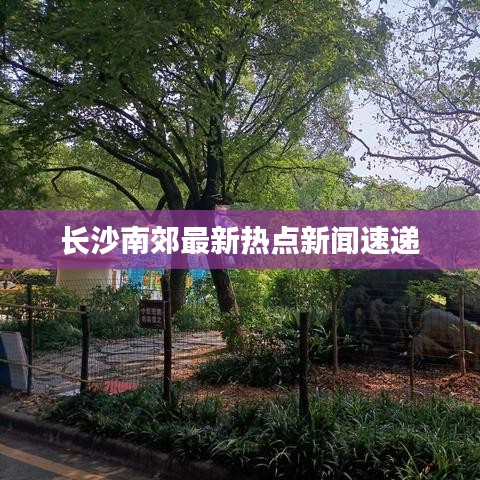 长沙南郊最新热点新闻速递