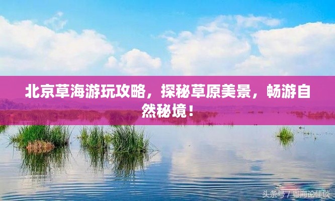 北京草海游玩攻略，探秘草原美景，畅游自然秘境！