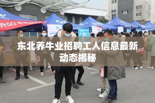 东北养牛业招聘工人信息最新动态揭秘