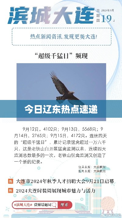 今日辽东热点速递