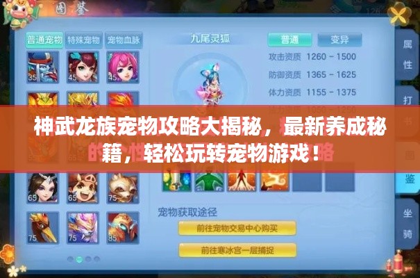 神武龙族宠物攻略大揭秘，最新养成秘籍，轻松玩转宠物游戏！