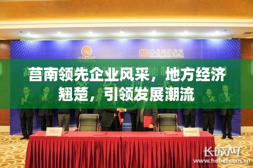 莒南领先企业风采，地方经济翘楚，引领发展潮流
