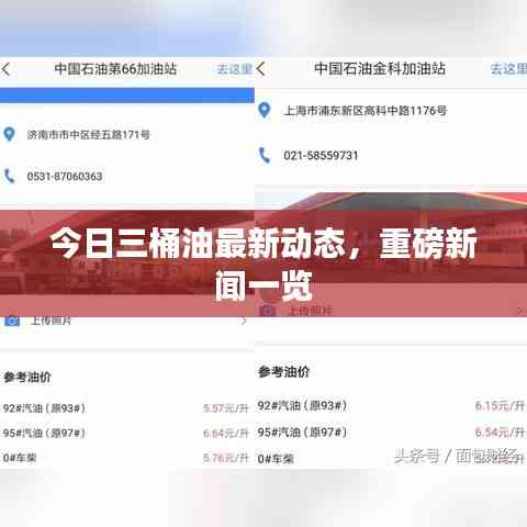今日三桶油最新动态,重磅新闻一览