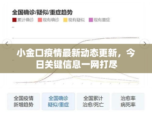 小金口疫情最新动态更新，今日关键信息一网打尽