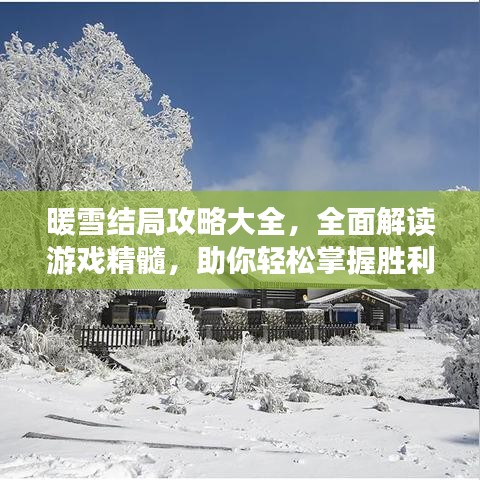 暖雪结局攻略大全，全面解读游戏精髓，助你轻松掌握胜利之道！