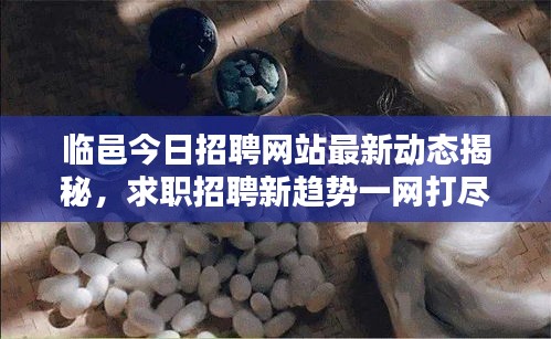 临邑今日招聘网站最新动态揭秘，求职招聘新趋势一网打尽