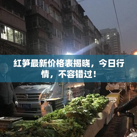 红笋最新价格表揭晓，今日行情，不容错过！