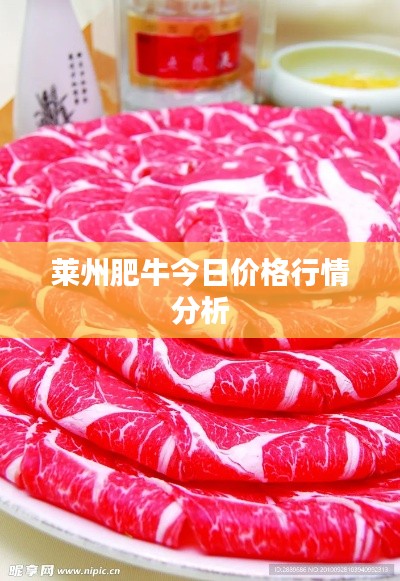 莱州肥牛今日价格行情分析