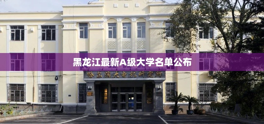黑龙江最新A级大学名单公布