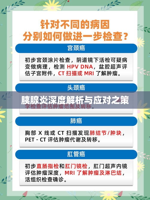 胰腺炎深度解析与应对之策