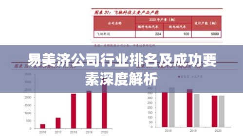 易美济公司行业排名及成功要素深度解析