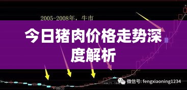 今日猪肉价格走势深度解析