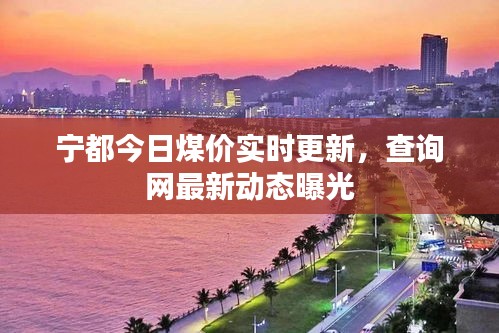 宁都今日煤价实时更新，查询网最新动态曝光