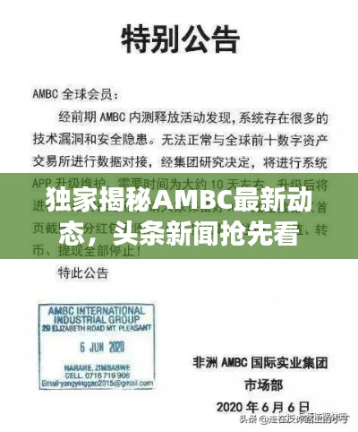 独家揭秘AMBC最新动态，头条新闻抢先看