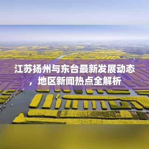 江苏扬州与东台最新发展动态，地区新闻热点全解析