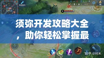须弥开发攻略大全，助你轻松掌握最新开发技巧！