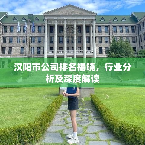 汉阳市公司排名揭晓，行业分析及深度解读