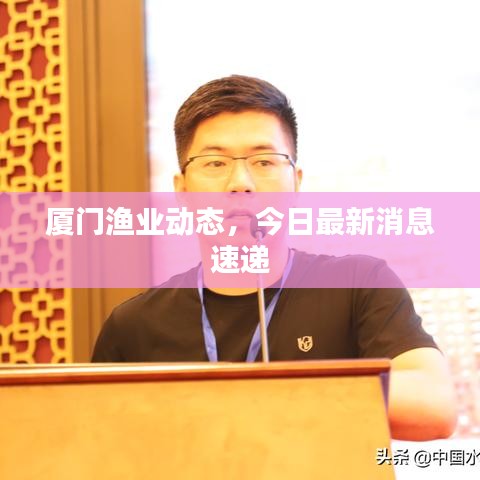 厦门渔业动态，今日最新消息速递