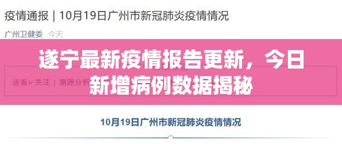 遂宁最新疫情报告更新，今日新增病例数据揭秘
