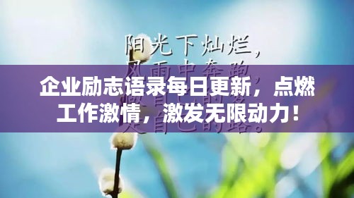 萍水相逢 第2页