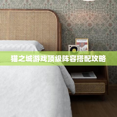 猫之城游戏顶级阵容搭配攻略