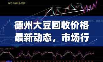 德州大豆回收价格最新动态，市场行情解析