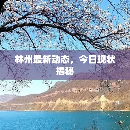 林州最新动态，今日现状揭秘