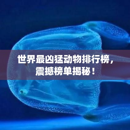 世界最凶猛动物排行榜，震撼榜单揭秘！