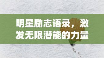 办公设备 第79页