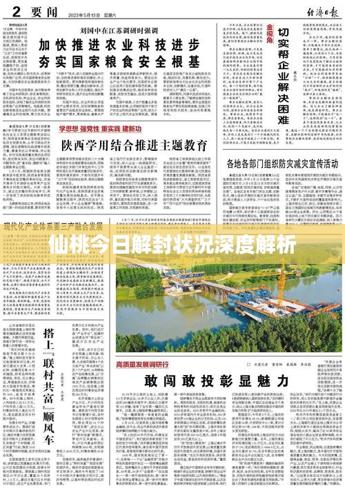 仙桃今日解封状况深度解析