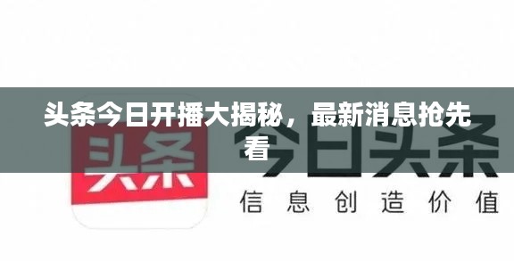 头条今日开播大揭秘，最新消息抢先看